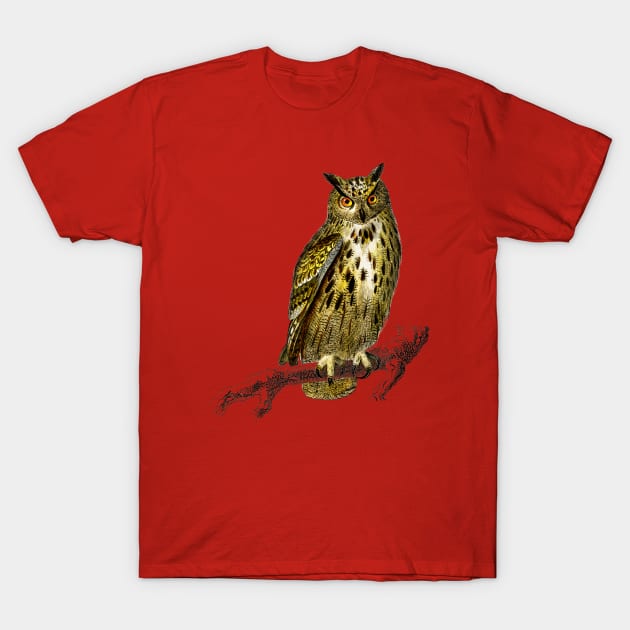 Vintage bubo bubo bird-animalia T-Shirt by Phantom Troupe